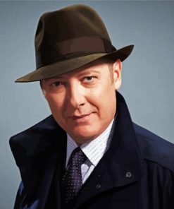 Raymond Reddington Paint by number