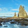 Rialto Beach Washington State paint by number