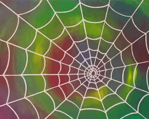 Spiderweb Art paint by number