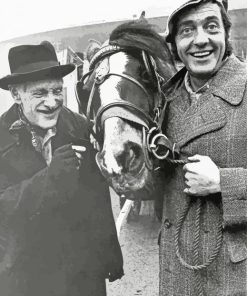 Steptoe And Son paint by number