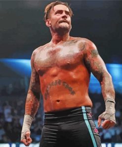 The American Cm Punk Paint by number