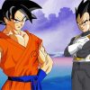 Vegeta And Goku Dragon Ball paint by number