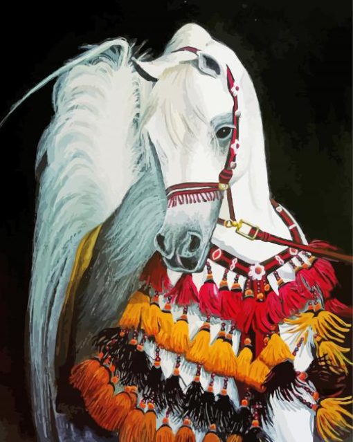 White Arabian Horse paint by number