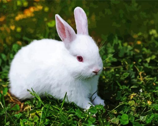 White Small Rabbit paint by number