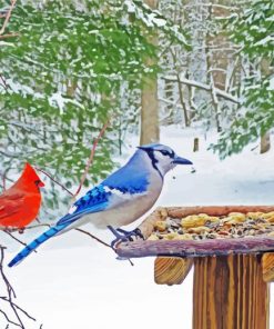 Winter Blue Jay And Cardinal paint by number