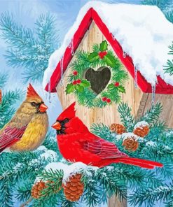 Winter Snow Christmas Birds House paint by number