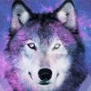 Wolf Space paint by number