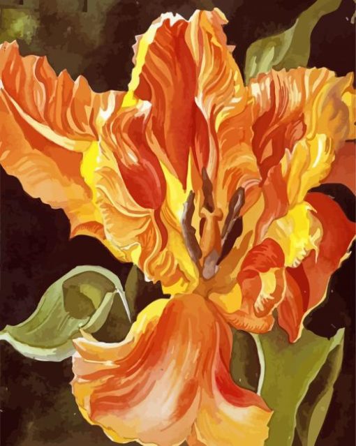 Yellow Orange Parrot Tulip Flower paint by number