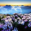 Aesthetic Flower Mountain Landscape Paint by number