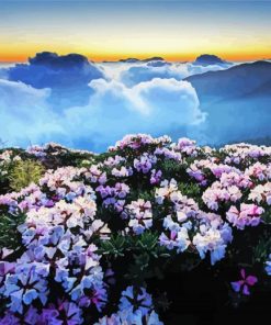 Aesthetic Flower Mountain Landscape Paint by number