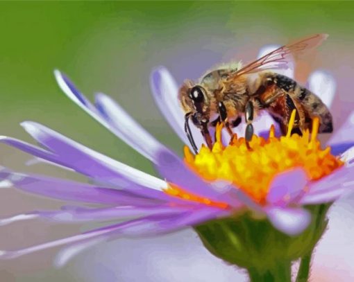 Aesthetic Flowers And Bee Paint by number