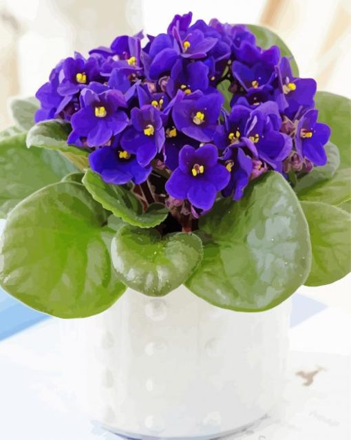 African Violet Flowers Vase Paint by number