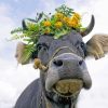 Animals With Flower Crown paint by number