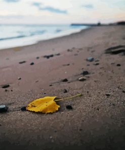 Autumn Leaf Beach paint by number