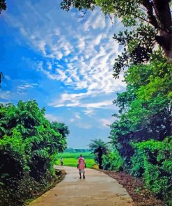 Beautiful Village Path Paint by number