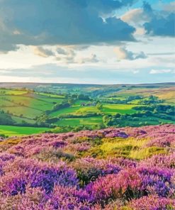 Beautiful Yorkshire Moorland paint by number