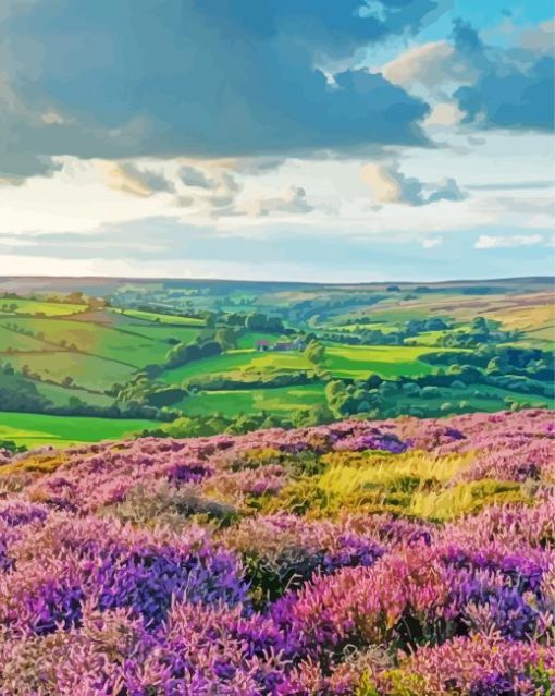 Beautiful Yorkshire Moorland paint by number