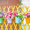 Beautiful Fence And Flowers paint by number