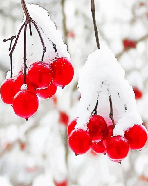 Berries In Winter paint by number