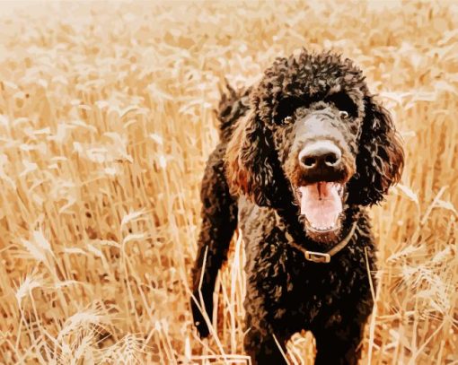 Black Happy Poodle paint by number