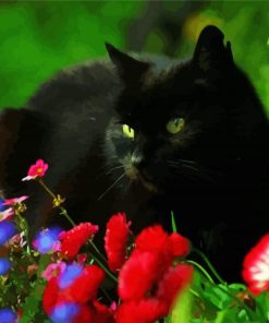 Black Cat And Flowers paint by number