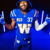 Blue Bombers Player paint by number