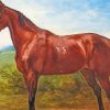 Brown Vintage Horse paint by number