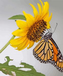 Butterfly With Sunflower paint by number