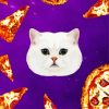 Cat And Pizza paint by number