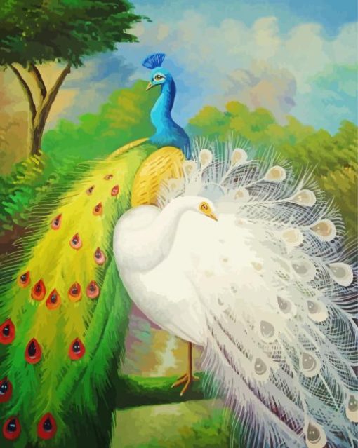 Colorful And White Peacock Paint by number