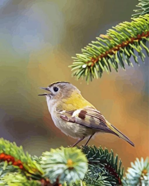 Cute Goldcrest Bird Paint by number