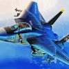 F14 Plane Art paint by number