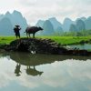 Farmer In Guilin Mountains paint by number