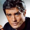 Handsome French Actor Alain Delon paint by number