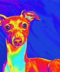 Italian Greyhound Dog Art paint by number