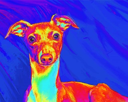 Italian Greyhound Dog Art paint by number