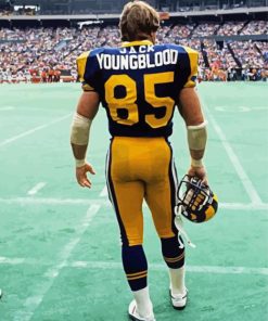 Jack Youngblood paint by number