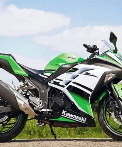 Kawasaki Ninja paint by number