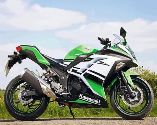 Kawasaki Ninja paint by number