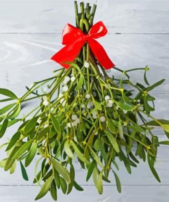 Mistletoe Decoration paint by number