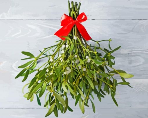 Mistletoe Decoration paint by number