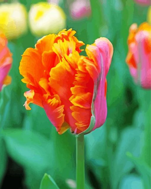 Parrot Tulip Plant paint by number