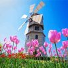 Pink Tulpen En Molen paint by number