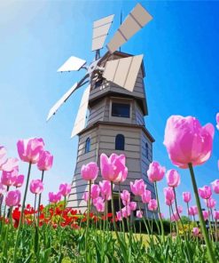 Pink Tulpen En Molen paint by number