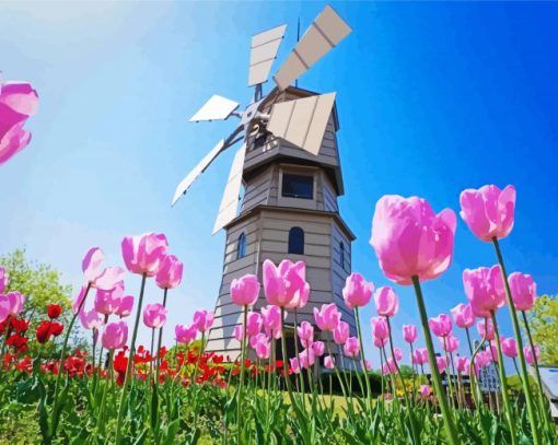 Pink Tulpen En Molen paint by number