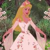 Princess Aurora In Dress paint by number