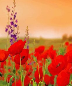 Red Summer Field Of Flowers Paint by number