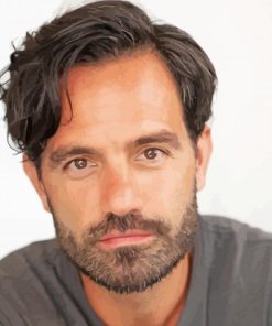 The Actor Ramin Karimloo paint by number