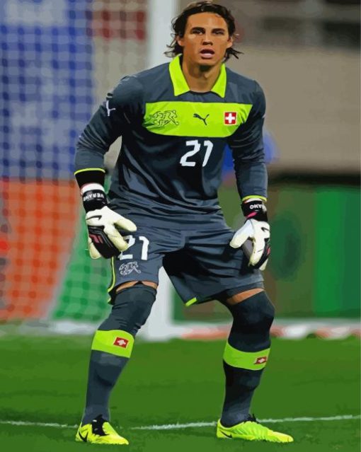 The Goalkeeper Yann Sommer paint by number