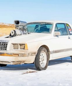 White 1986 Ford Tbird Car paint by number